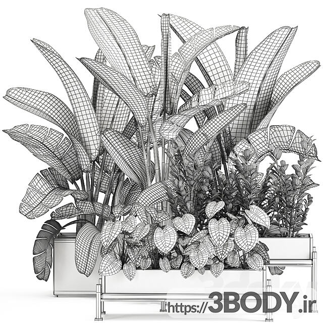 آبجکت سه بعدی مجموعه گیاهان عکس 6