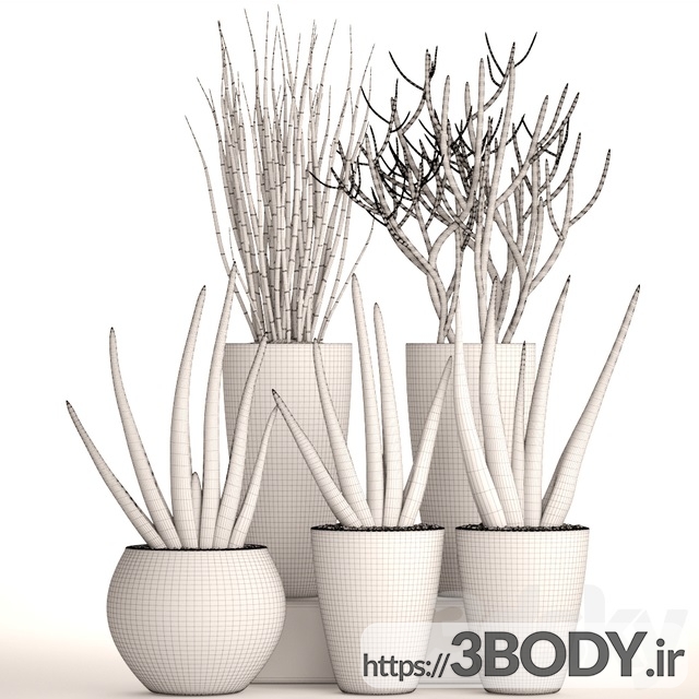 مدل سه بعدی مجموعه ای از گیاهان در گلدان عکس 3