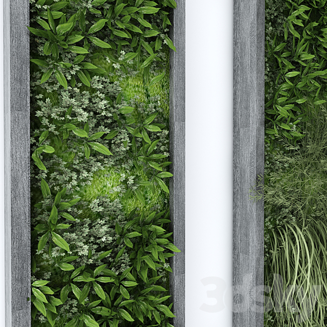 آبجکت سه بعدی گل و گیاه دیواری عکس 6