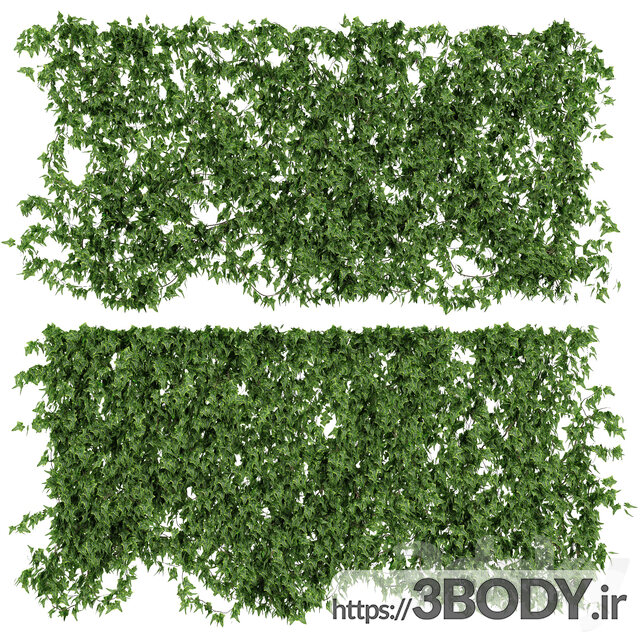 مدل سه بعدی گل و گیاه دیوار برگ پیچک عکس 1