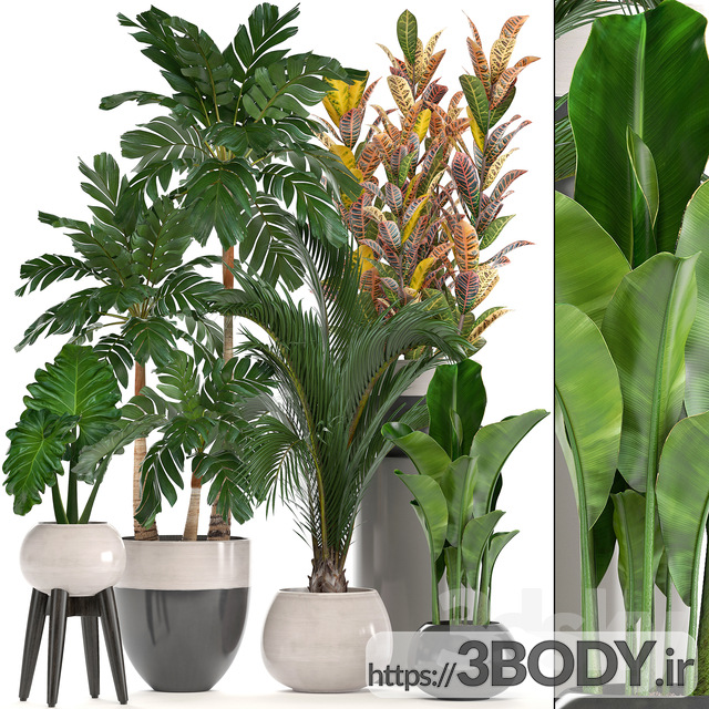 مدل سه بعدی مجموعه گیاهان زینتی عکس 1