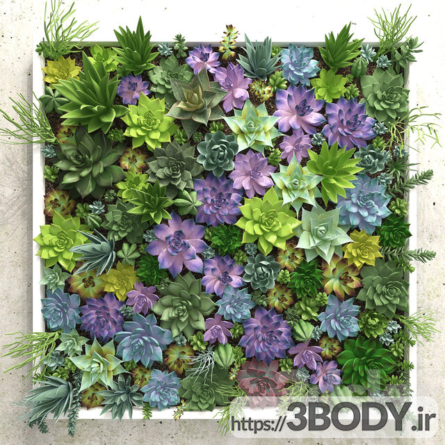 آبجکت سه بعدی  گل و گیاه دیواری عکس 1