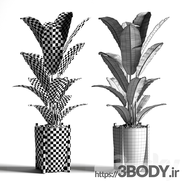 آبجکت سه بعدی گل و گیاه گلدانی عکس 3