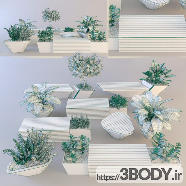 آبجکت سه بعدی مجموعه گیاهان زینتی عکس 2