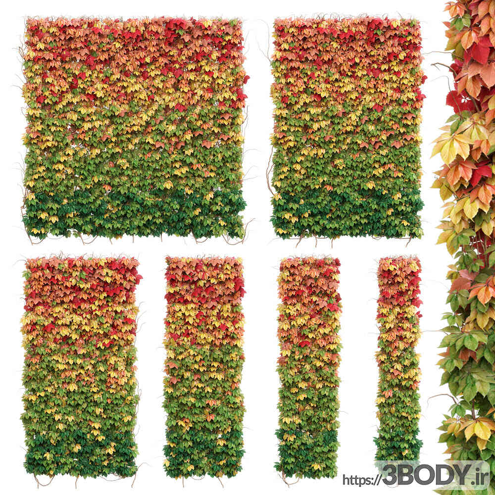 آبجکت سه بعدی  مجموعه گل و گیاه دیوار عکس 1