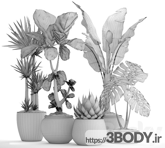 مدل سه  بعدی مجموعه ای از گیاهان وگلدان عکس 3