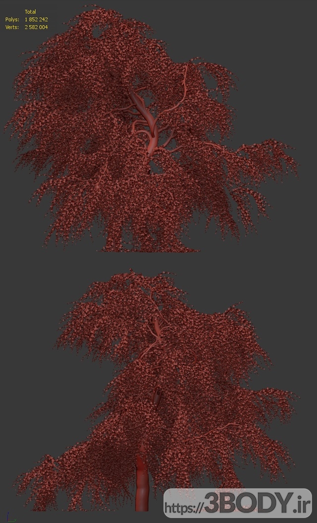 آبجکت سه بعدی درخت و درختچه درخت ساکورا عکس 3