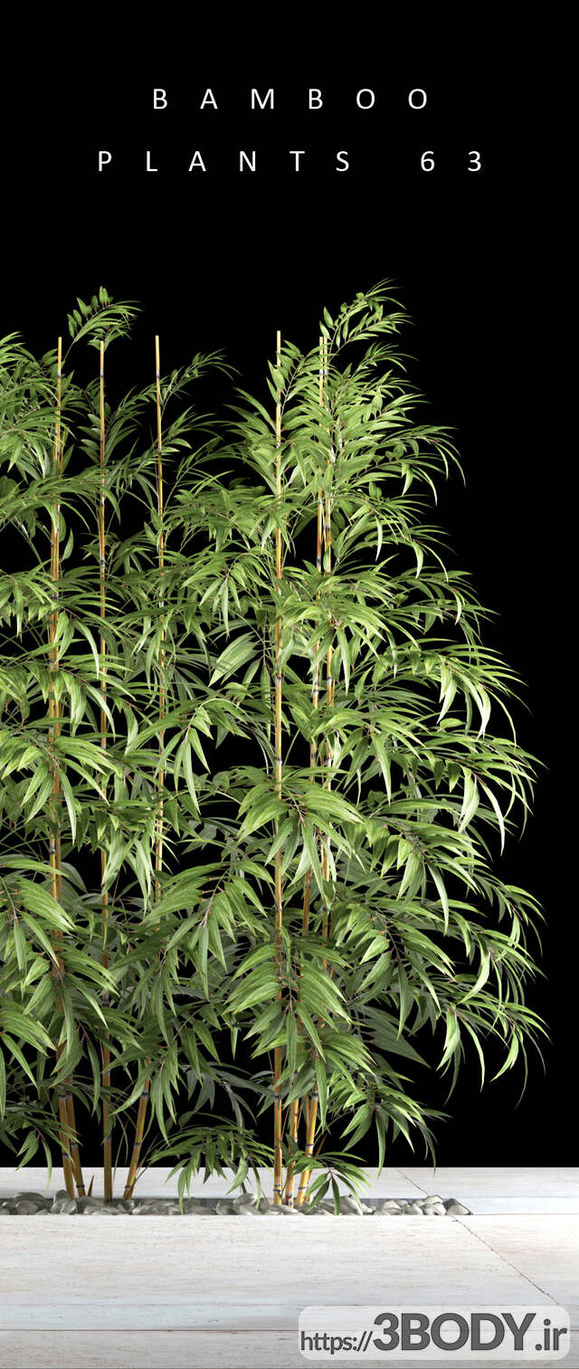مدل سه بعدی گیاهان بامبو عکس 2