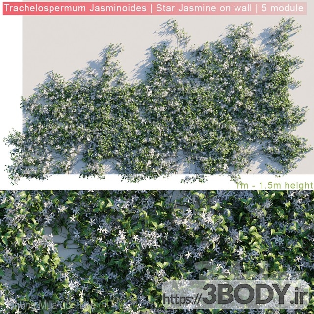 مدل سه بعدی گل و گیاه دیواری عکس 1