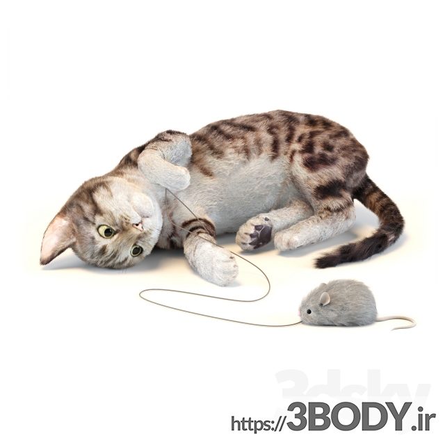 آبجکت سه بعدی موش و گربه عکس 1