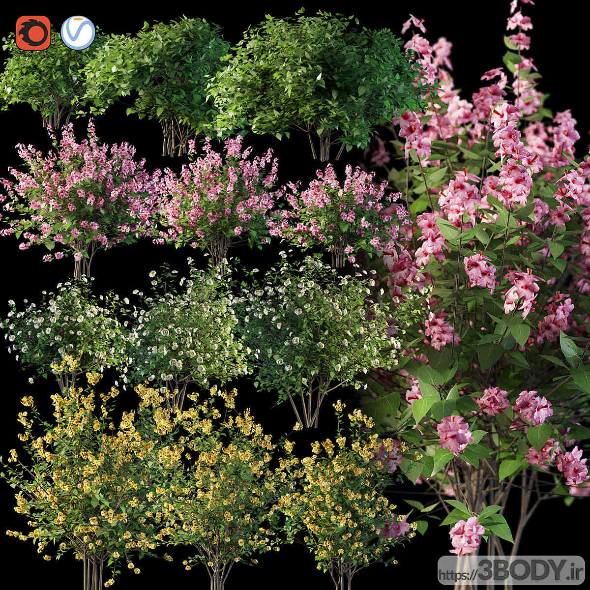 آبجکت سه  بعدی درخت و درختچه گل بوته های گلدار عکس 1