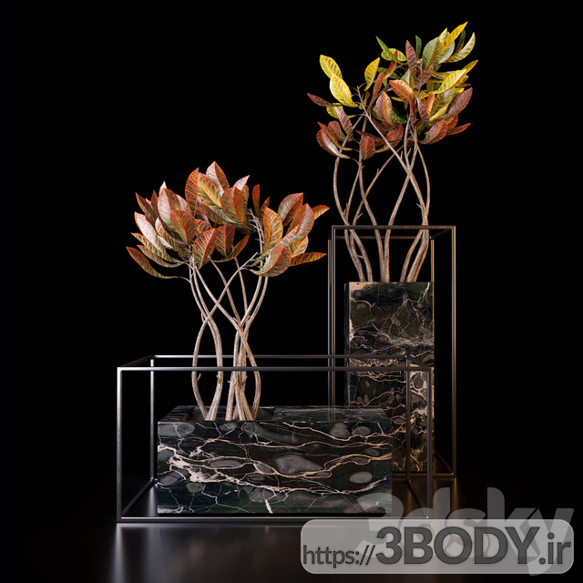 مدل سه بعدی گل های کروتون عکس 2