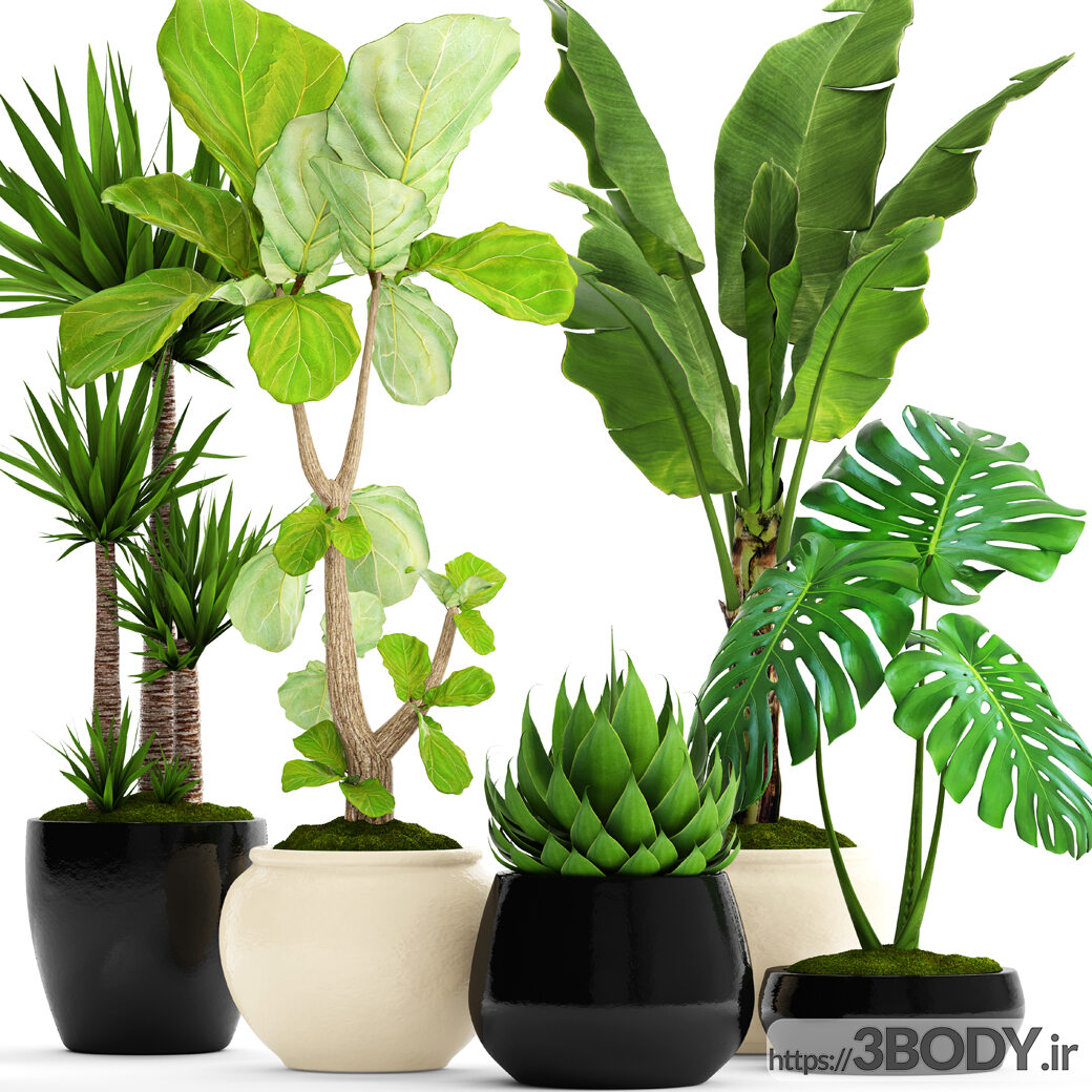 مدل سه  بعدی مجموعه ای از گیاهان وگلدان عکس 1