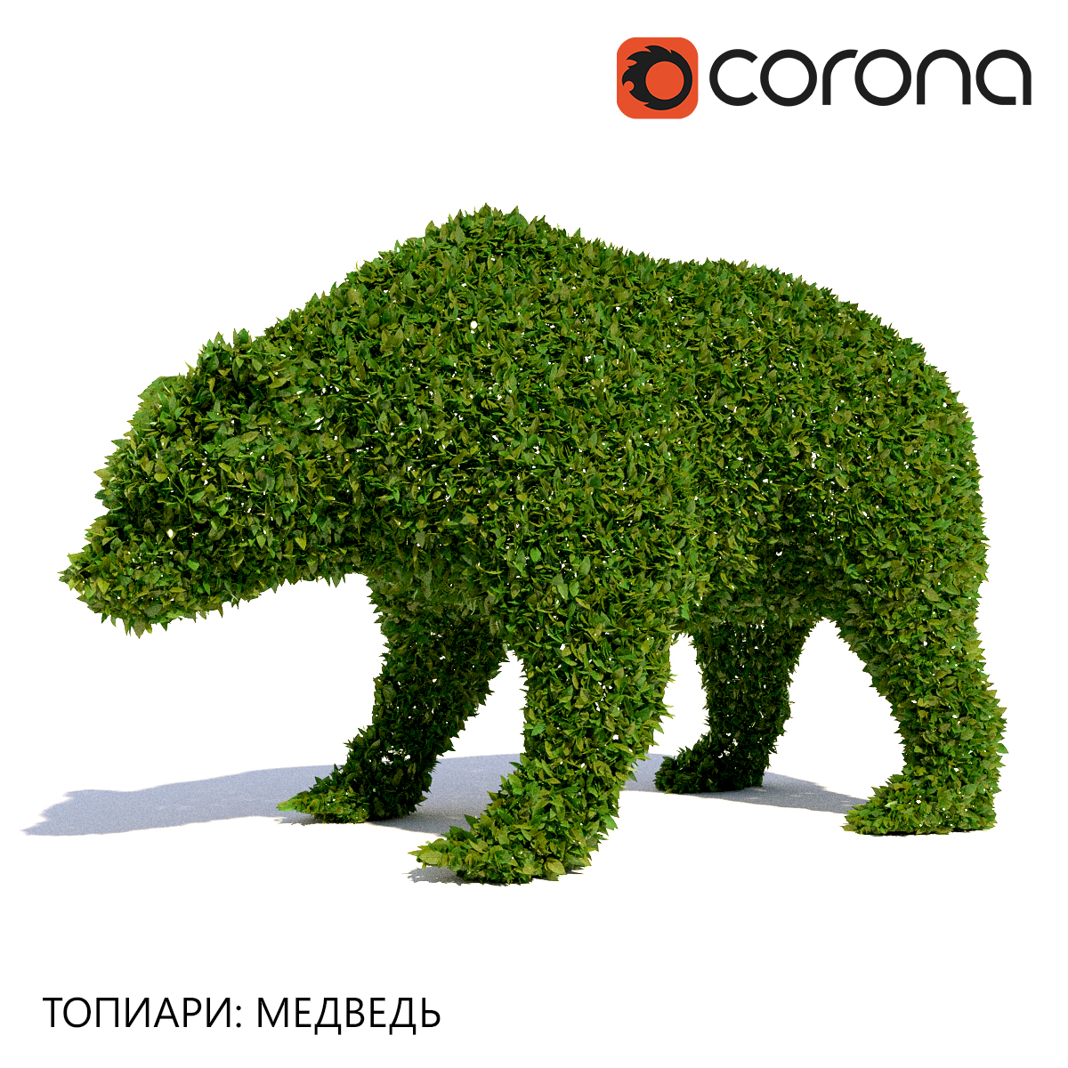 آبجکت سه بعدی درخت خرس عکس 1