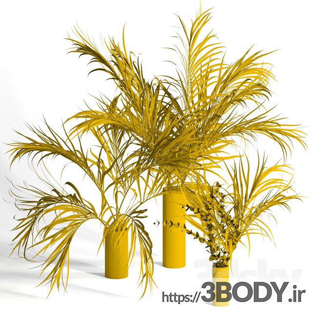 آبجکت سه بعدی گل و گیاه داخلی عکس 2