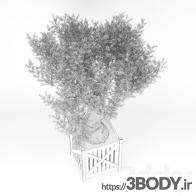 مدل سه بعدی درخت و درختچه عکس 3