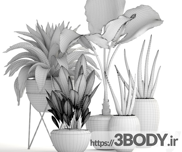 مدل سه بعدی مجموعه گیاهان و گل گرمسیری عکس 4