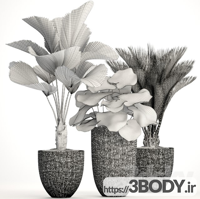 ابجکت سه بعدی مجموعه گیاهان اپارتمانی عکس 4
