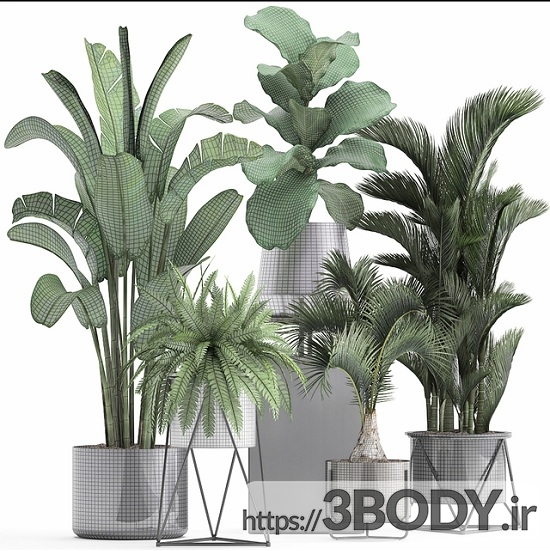 آبجکت سه بعدی مجموعه گیاهان عکس 3