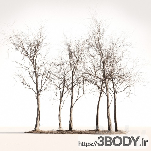 مدل سه بعدی درخت و درختچه چوب بهار پاییز عکس 1
