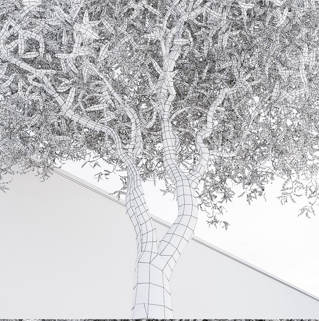 آبجکت سه بعدی درخت و درختچه عکس 5