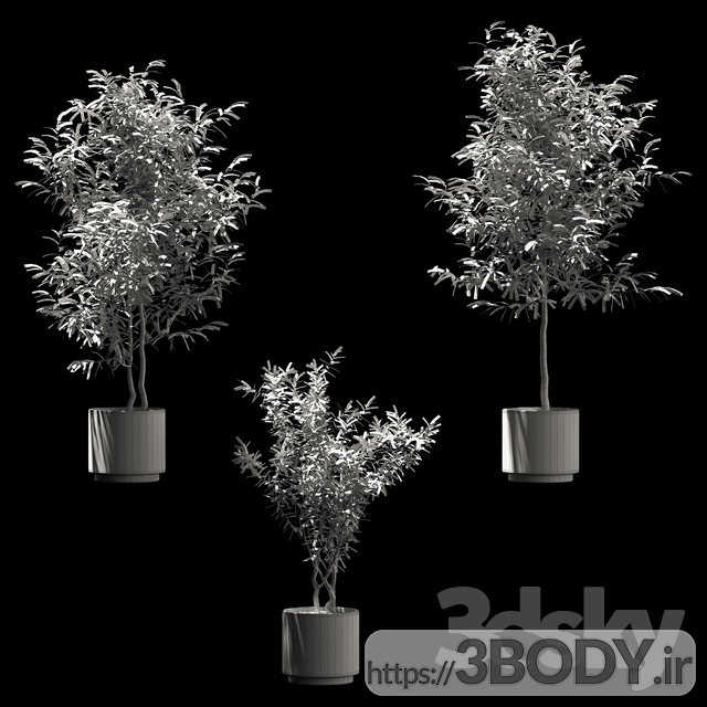 مدل سه بعدی گیاهان در مدل های گلدان چوبی عکس 2