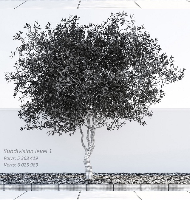 آبجکت سه بعدی درخت و درختچه عکس 8