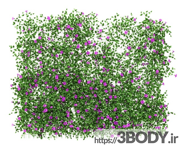 مدل سه بعدی گل و گیاه دیوار گلها روی شبکه عکس 2