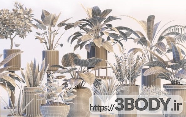 مدل سه بعدی مجموعه گیاهان زینتی عکس 2
