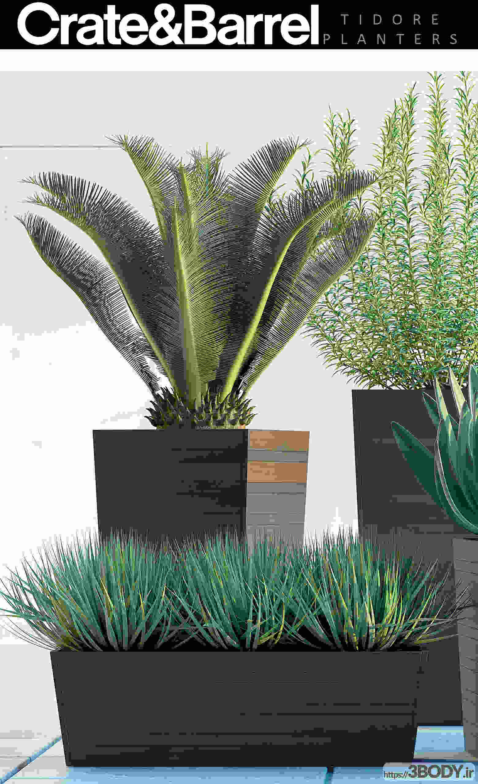 آبجکت سه بعدی گیاهان خارج از خانه عکس 2
