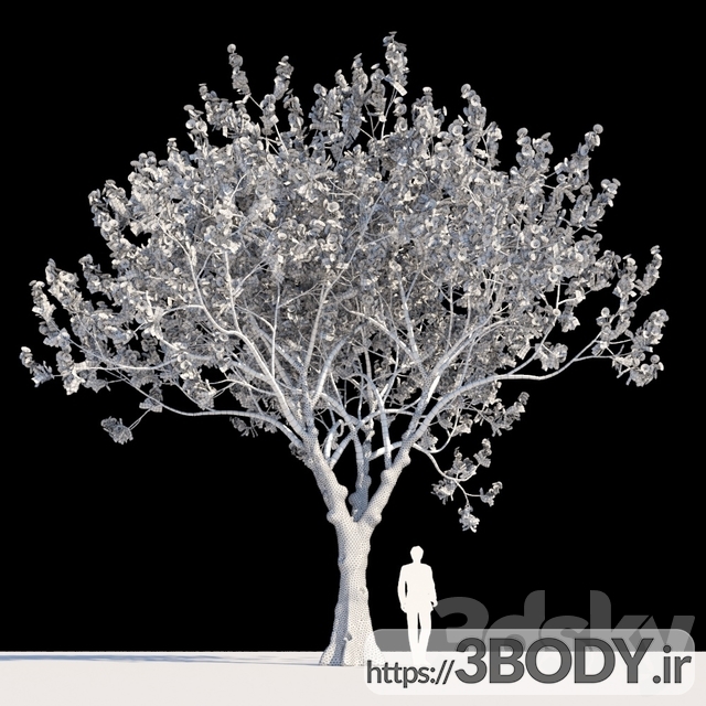 مدل سه بعدی  درخت و درختچه درخت جوان  عکس 2