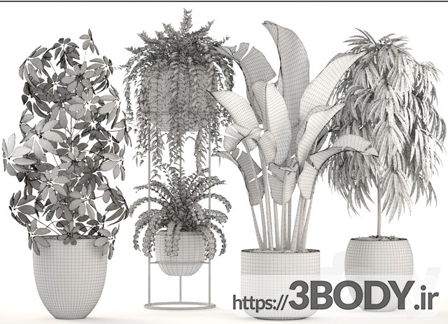 ابجکت سه بعدی مجموعه گیاهان زینتی وگلدانی عکس 4