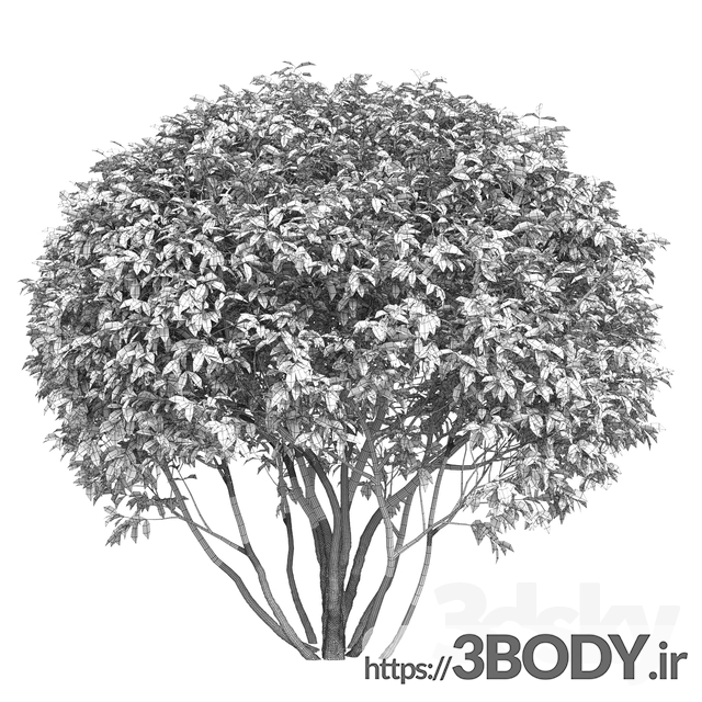 آبجکت سه بعدی درخت ودرختچه عکس 3