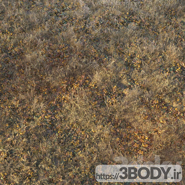آبجکت سه بعدی چمن خشک پاییزی عکس 5