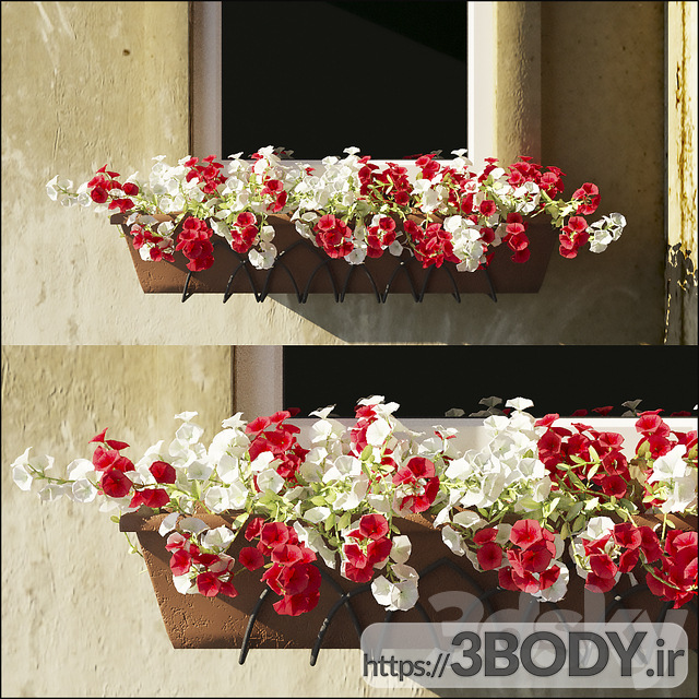 مدل سه بعدی گل شیپوری سفید و قرمز عکس 1