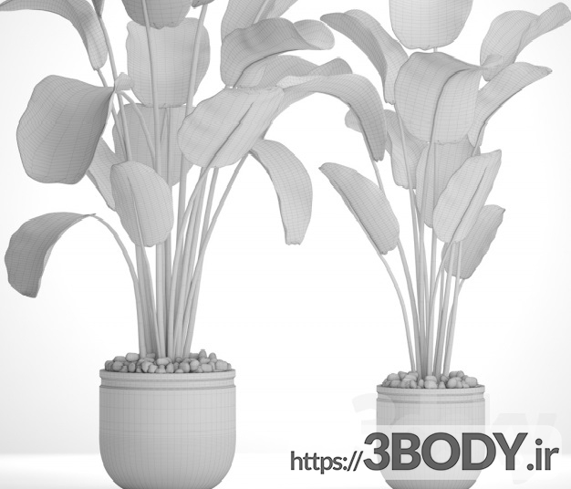 مدل سه بعدی مجموعه گیاهان گلدانی عکس 4