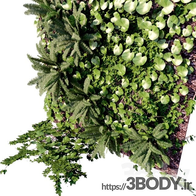 مدل سه بعدی گل و گیاه دیوار عمودی پنل تزئینی دیوار عکس 2