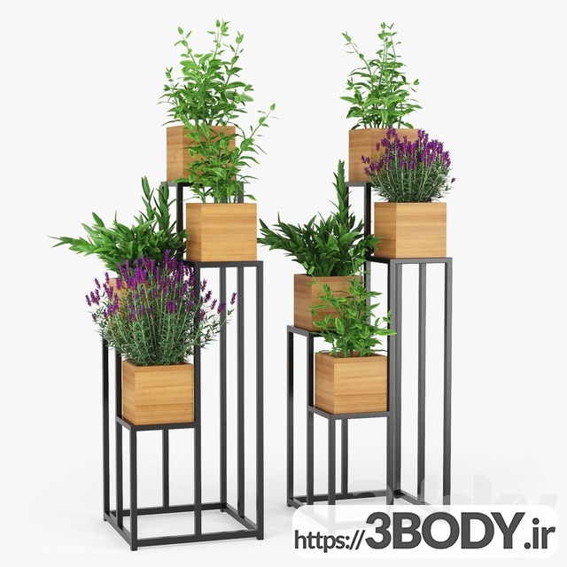 مدل سه بعدی گیاهان زینتی با گلدان چوبی عکس 1