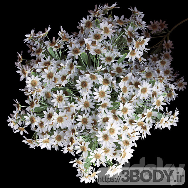 آبجکت سه بعدی دسته گل بابونه در گلدان عکس 2