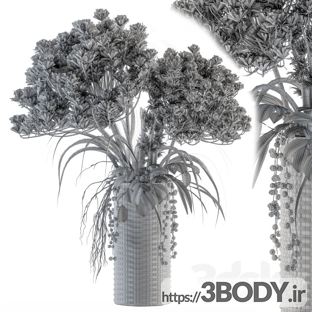 آبجکت سه بعدی گیاه و گلدان عکس 4