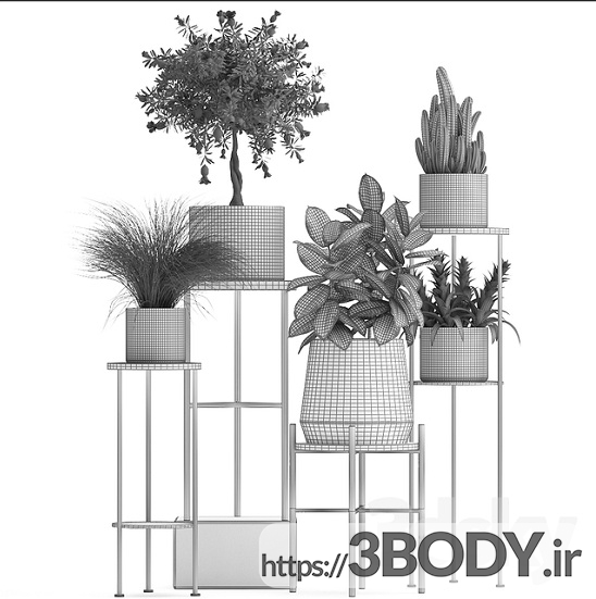 آبجکت سه بعدی مجموعه گیاهان عکس 4