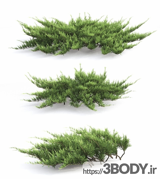 مدل سه بعدی درخت ودرختچه عکس 3