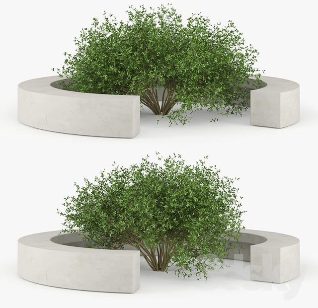 آبجکت سه بعدی درخت و درختچه عکس 4