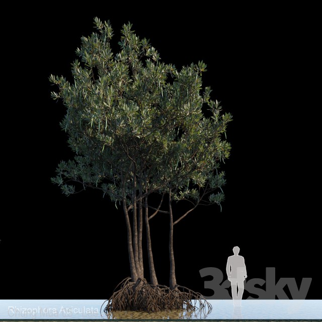 آبجکت سه بعدی درخت برای3dsmax عکس 1