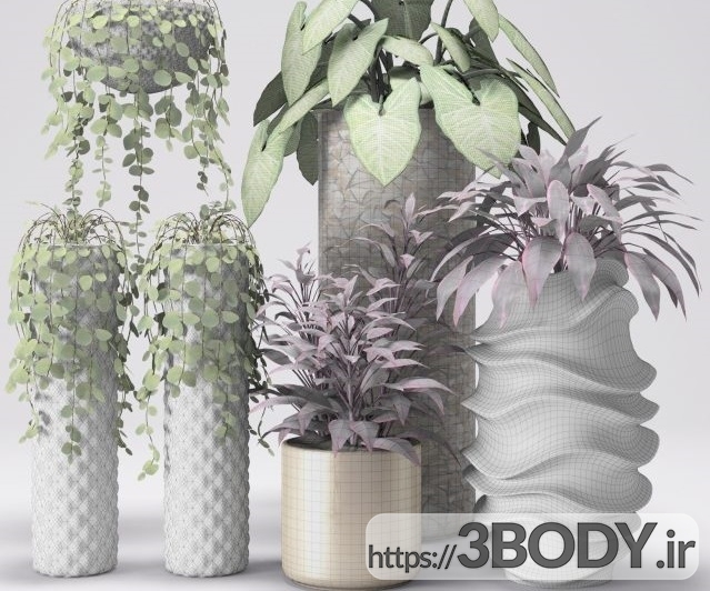 ابجکت سه بعدی مجموعه گیاهان گلدانی عکس 2