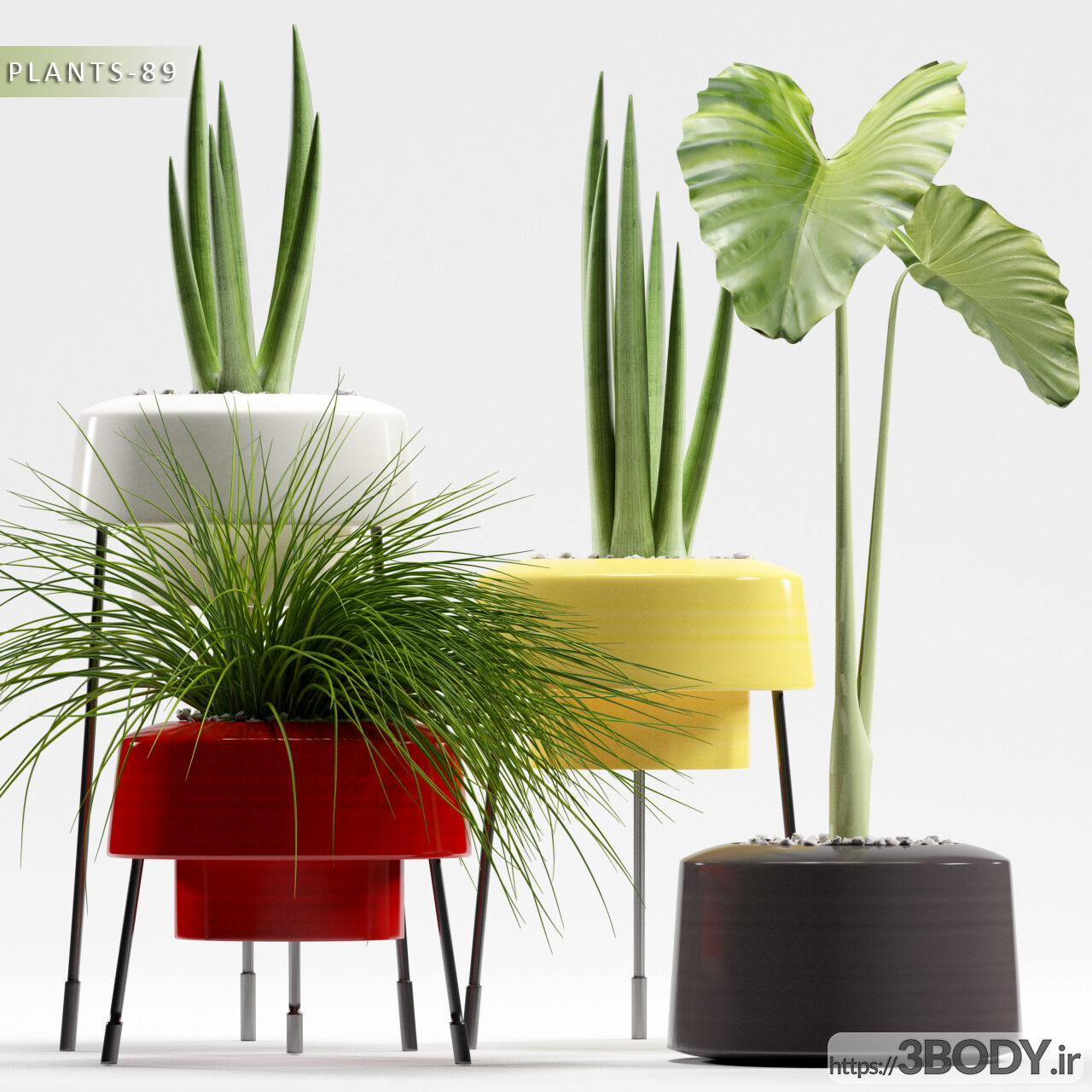 آبجکت سه بعدی مجموعه گیاهان زینتی عکس 1