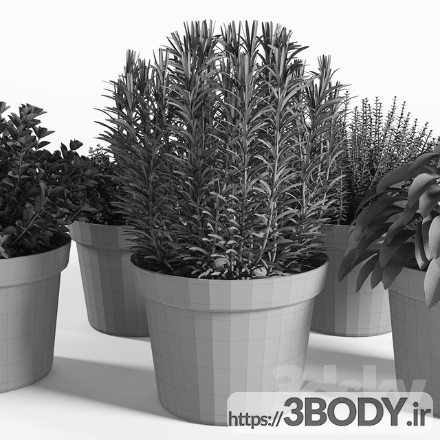 ابجکت سه بعدی مجموعه گیاهان گلدانی عکس 2