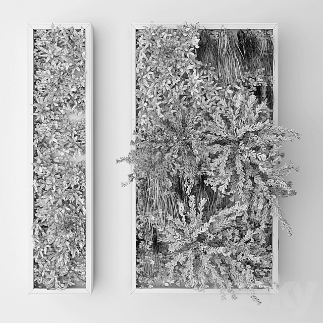 آبجکت سه بعدی گل و گیاه دیواری عکس 7