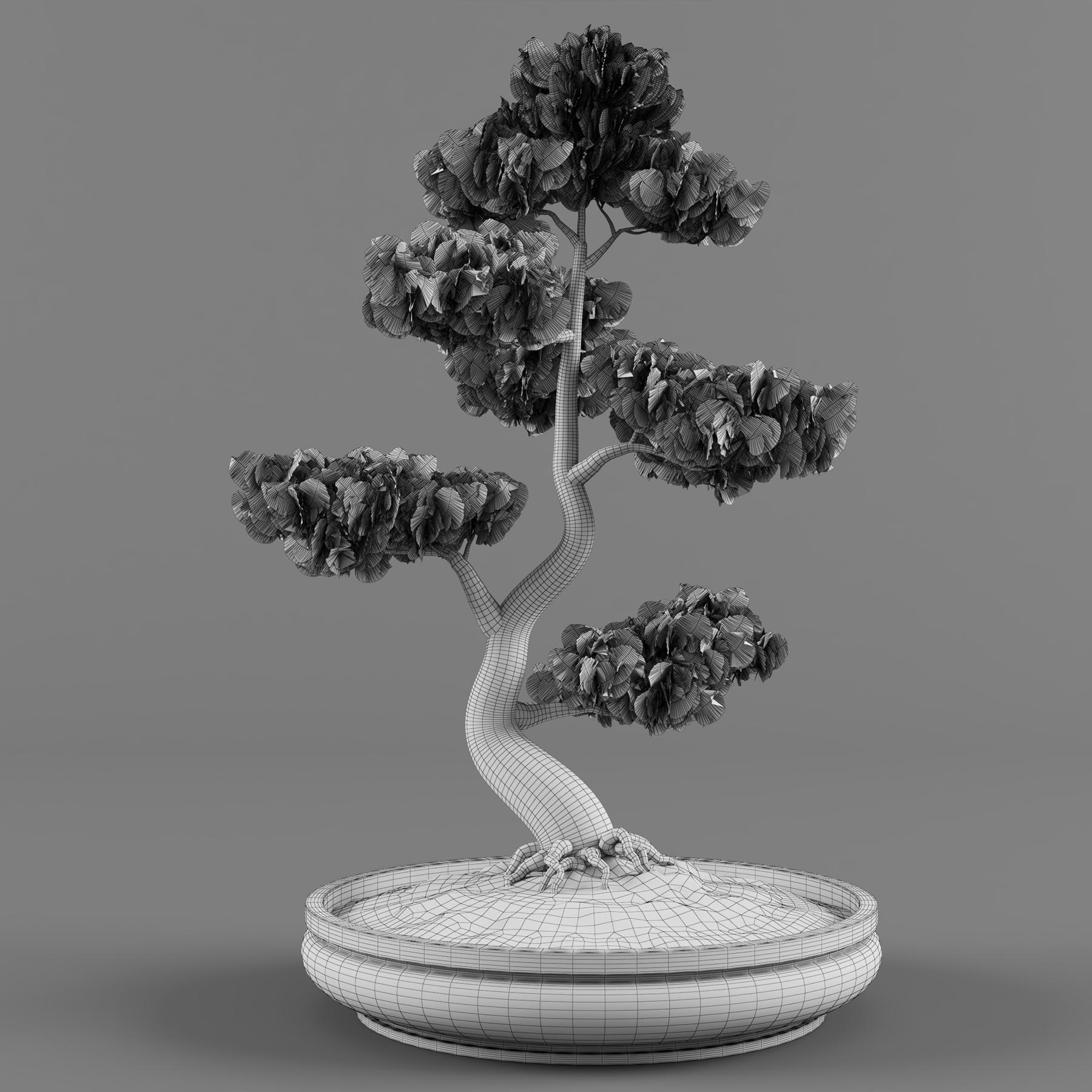 آبجکت سه بعدی درخت بونسای عکس 4