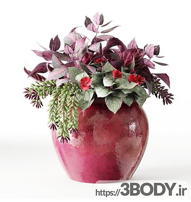 مدل سه بعدی گل و گیاه زینتی عکس 3